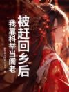 被赶回乡后,我靠科举当阁老